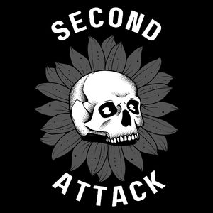 SECOND ATTACK