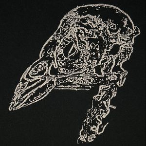 Dead Bird Skull