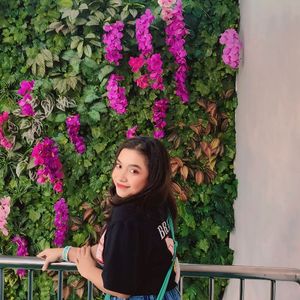 Insan Cita