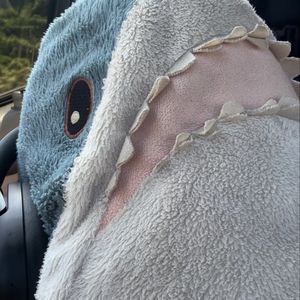 sharky