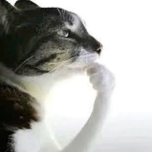 tam