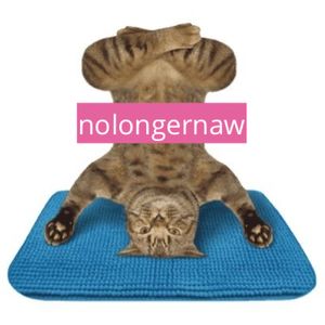 nasywa