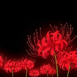 crimsonn