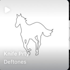 SeeknDestroy
