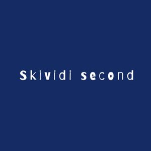 Skividisecond