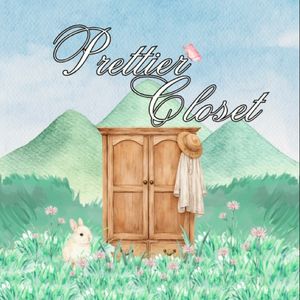 prettier closet