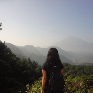 Herrypiee