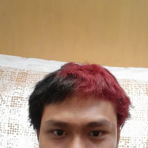 Mohammed Syahrul Alwi