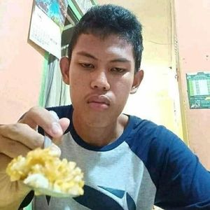 Aldy