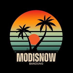 MODISNOW BDG