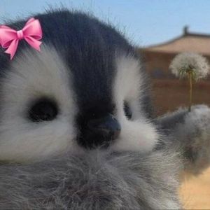 Gdpofrisby