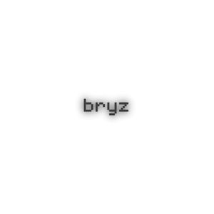 bryzs