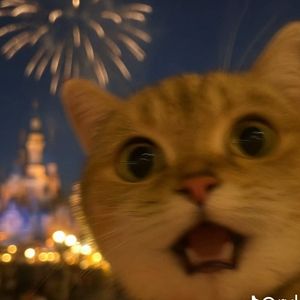12345