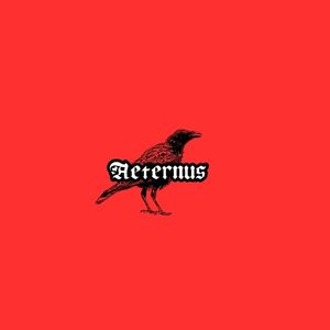 Aeternus.store