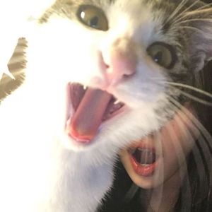 lutfii