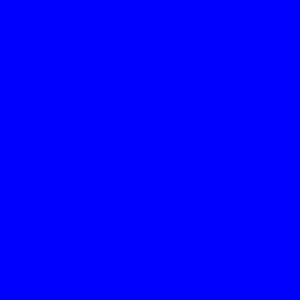 BLUELIGHT