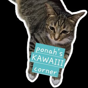 Ponah KAWAIII Corner
