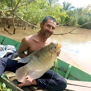 penaklukbumi