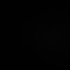 Topiastore