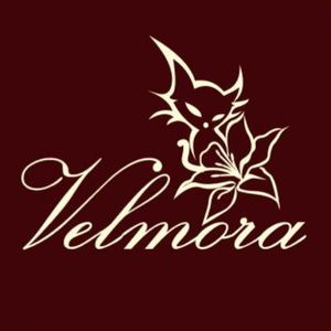 Velmora Nocturne