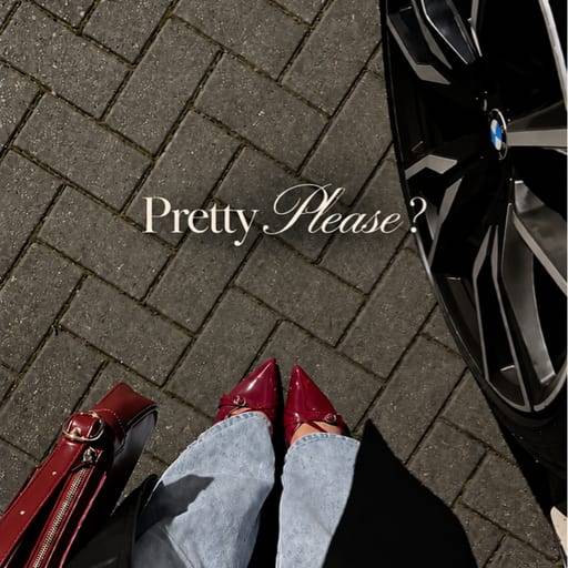 PrettyPlease
