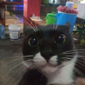 Salsabila Putri