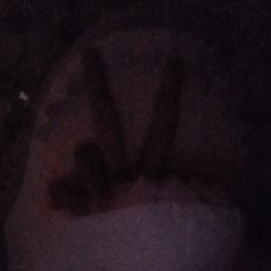vrnc