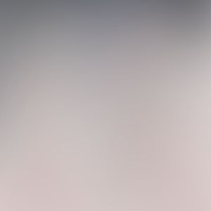 znchic