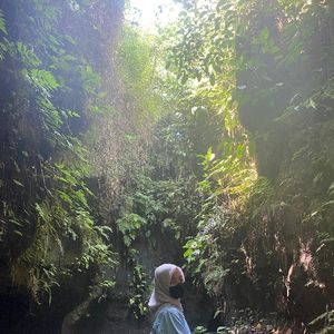 Anisa