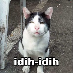 Gabut Tapi Serius Beli Loh Yaa