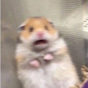 kiaraa