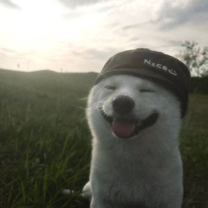 Hxbhy