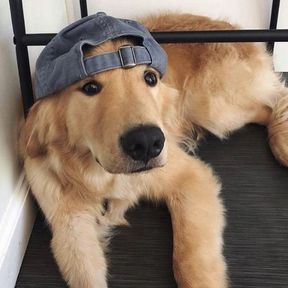 HOBIK0o0