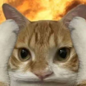 sasa
