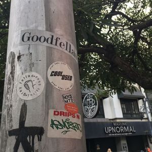 greyfellas