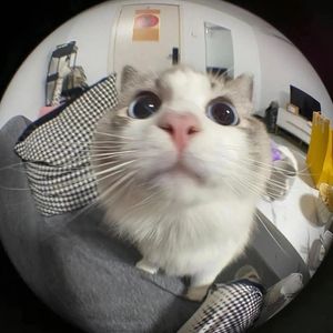 Ataaaa