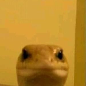 Hehee