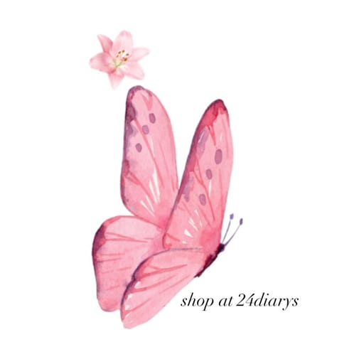 24diarys