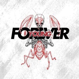 frvryoung.id