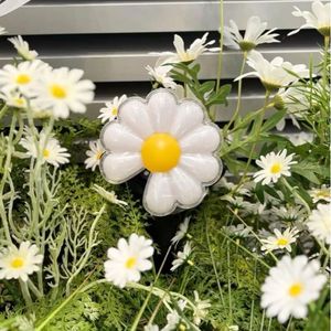 DaisyThings97
