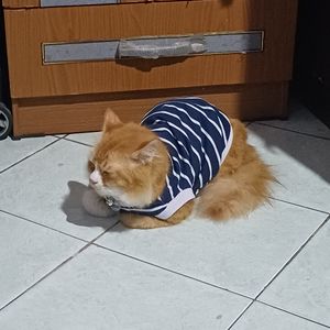 pridaa