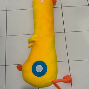 Cikicoki