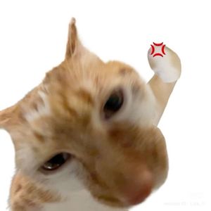 cyatta