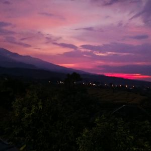 SimplyTrifht