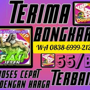 Agen Chip Higgs Domino