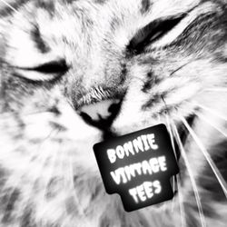 Bonnie