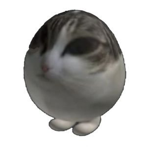 ァ