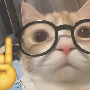 Bobthereader