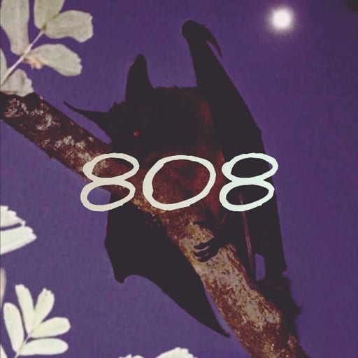 808area