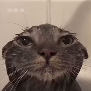 miyuuu